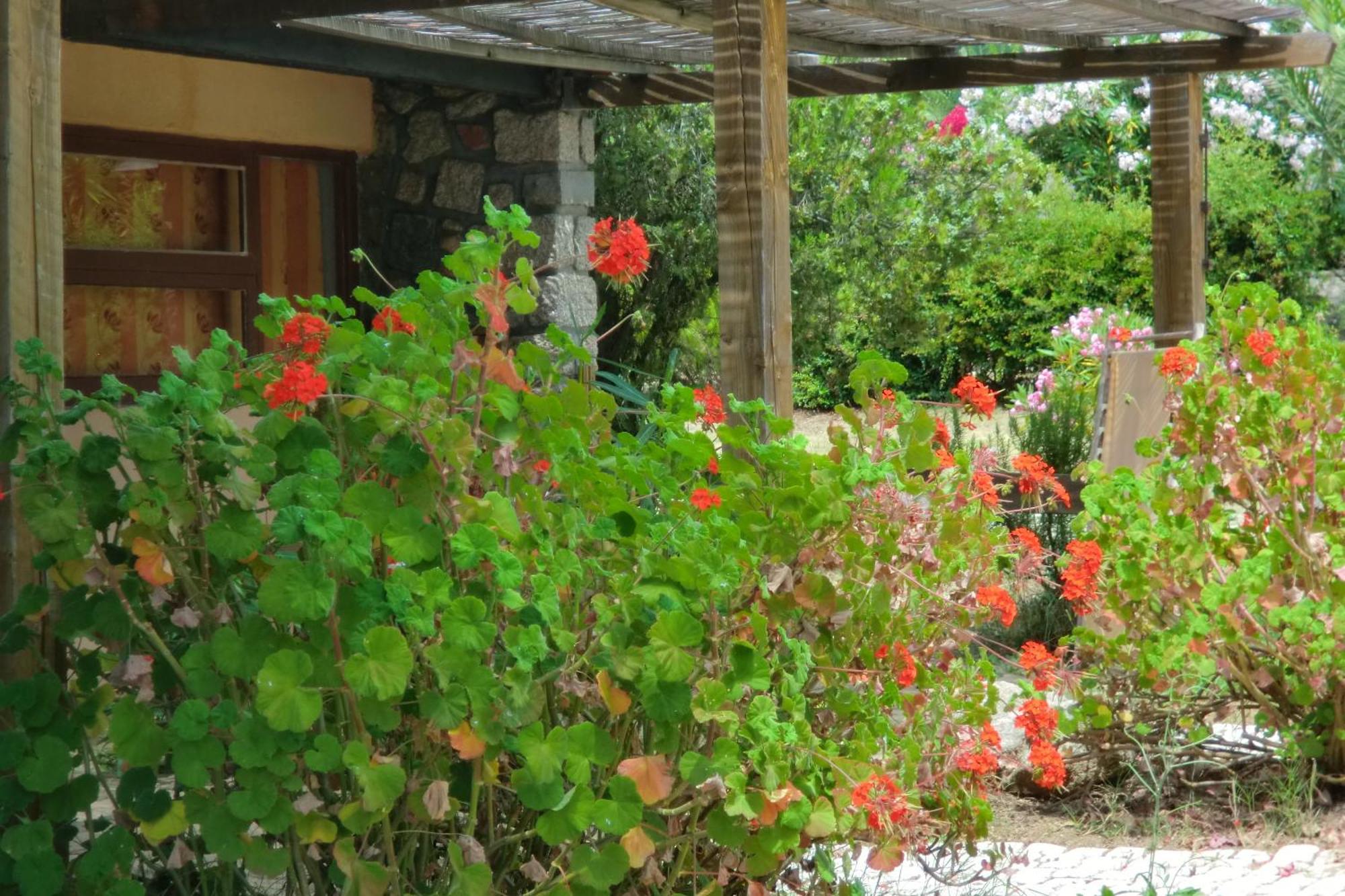 Valinco Village Porto Pollo Ngoại thất bức ảnh
